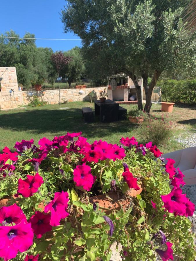 Villa Evita , Athytos Wonderful ,63M2,A/C أفيتوس المظهر الخارجي الصورة