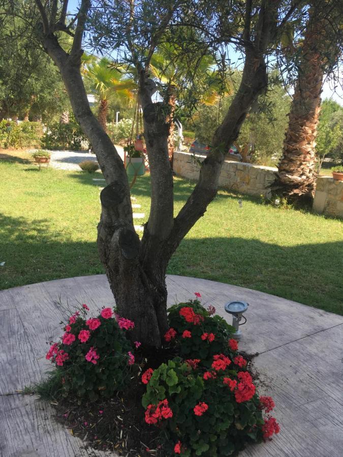 Villa Evita , Athytos Wonderful ,63M2,A/C أفيتوس المظهر الخارجي الصورة
